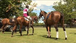 Season Opens For BMW Polo Players