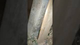Hatsan Striker Edge убойная сила