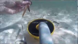 Caribbean (1) Underwater Treasure Hunt Vibra Tector & SJCam 4000