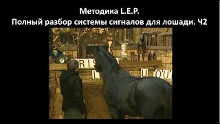 Методика А. Невзорова L.E.P.: Полный разбор системы сигналов для лошади. Ч 2
