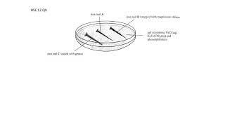 [DSE Chem] Past Paper 解題系列：Metals DSE 2012 Q9