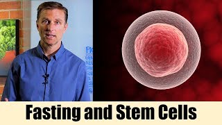 Using Fasting to Enhance Stem Cells