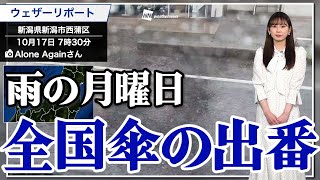 全国傘の出番　雨の月曜日