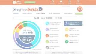 Direct Your Energy Itemized Usage Page