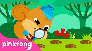 ¿Quién Robó las Bellotas? | Animales para Niños | Pinkfong Canciones ​Infantiles