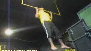 Stallion Gym Busan
