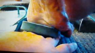 Unknown Hand Trample