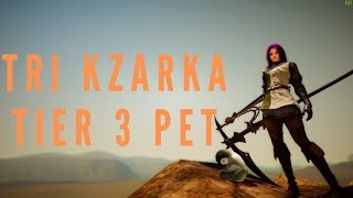 Black Desert Online Free To Play Player: Episode 4 Tri Kzarka Tier 3 Pet