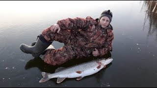 Рыбалка/ ОГРОМНАЯ щука/ Первый лед/ Жерлицы/ Шикарное открытие сезона!!!