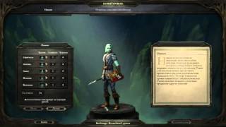 Pillars of Eternity: White March 2 - Волшебник-Воитель