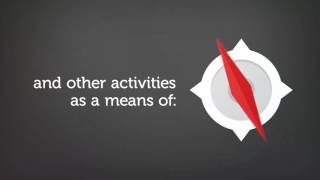 What does the World Youth Organization do?