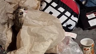 Ура - обновочки! Защита от сов и новые полные чашки счастья