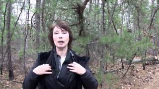 Batona Trail
