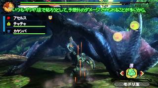 【MH3G】片手剣ゆっくり奮闘記Ｇ　～第１４話～