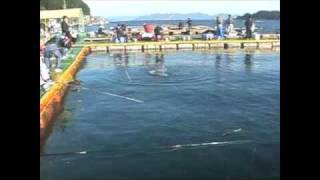 家島 海上釣り堀 水宝 釣り三昧(1)