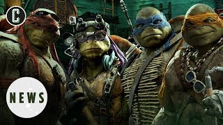 Ninja Turtles Reboot On the Way From Michael Bay, Paramount