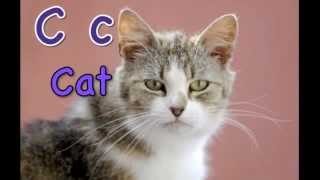 ABC Phonetic Song for Young Children