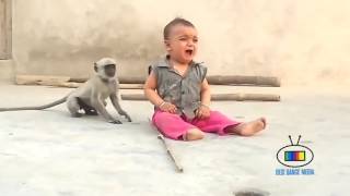 Funny Monkey and Child  Naughty MONKEY musti With Small Kidz soo Funny