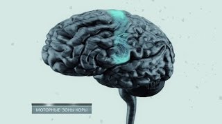 Тайны мозга. Фильм 2