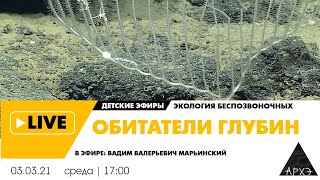Детский эфир "Обитатели глубин" рубрики "Экология беспозвоночных" с Вадимом Марьинским