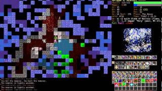 Dungeon Crawl: Shadowblade - Spriggan Stabber -Pt17