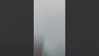 О'збек Боллар Ва Кизлар Ко'ринглар. (Илтимоснома)