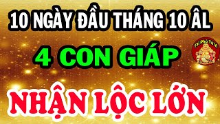 Vận May Ùn Ùn Kéo Về Thần Tài Gọi Tên 4 Con Giáp Vác Tiền Chai Vai Đầu Tháng 10 ÂL