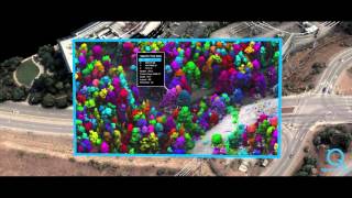 Quantum Spatial: Geospatial Services and Software Overview