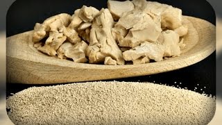 огурцы как на дрожжах,  7 рецептов дрожжевых подкормок для огурцов и не только