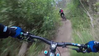 Ara Arara MTB - Ofer Forest Ejzem Deserted 4K