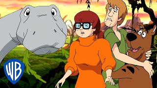 Scooby-Doo! en Français ???????? | Retour dans le passé ! ⏰
