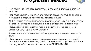 Сидераты_1