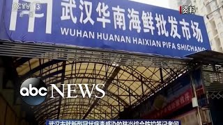 Chinese city of 11 million on lockdown amid deadly virus l ABC News