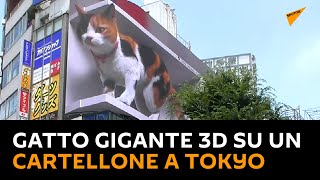 Gatto gigante 3D su un cartellone a Tokyo