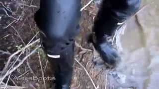 Walk in latex jeans and rubber boots Hunter. Part-1(16/08/15)