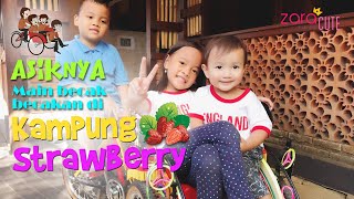 DRAMA ANAK Naik Becak Keliling Kampung Strawberry | Cerita Anak Balas Budi Kebaikaan