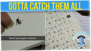 Girl Collects Every Mosquito She Smushes (ft. David So)