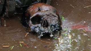 Без вести пропавшие в Ледяном Болоте, Раскопки Второй мировой  // Юрий Гагарин