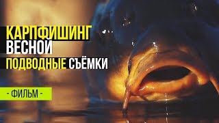 Карпфишинг весной. Подводная съемка. Ловля карпа на бойлы