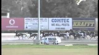 www kennethvella com  MEETING (1)Date 19-1-2014 PART 1 RACE 1,2,3,4,5,6,7,8