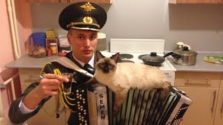 Семен Жоров - Идет солдат по городу! 23 февраля 2015.