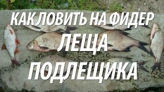 ФИДЕРНАЯ РЫБАЛКА НА ПОДЛЕЩИКА С ЕВГЕНИЕМ СЕРЕДОЙ НА КАНАЛЕ