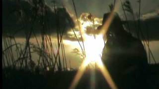 DR. ARTHUR KRAUSE - WAIT [promo video 2011]