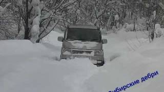 Honda StepWGN rf4 offroad