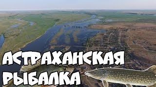 Рыбалка. Астрахань. Много ЩУК и ОКУНЕЙ,СЕЛЬДЬ. Астраханский КРЕМЛЬ! КАСПИЙСКОЕ море :3