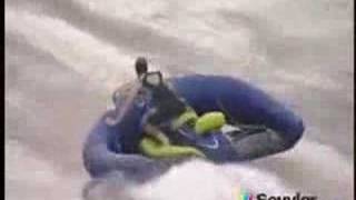 T-flying manta ray