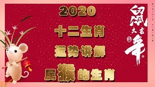 2020年｜十二生肖｜属猴｜财运较去年好很多｜ #十二生肖 #2020年属猴运势 #属猴运程