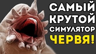 САМЫЙ КРУТОЙ СИМУЛЯТОР ЧЕРВЯ! - Insatia
