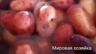 МИРоваЯ хозяйка | УДИВИТЕЛЬНАЯ картошка. Возьмите с собой в дорогу.