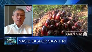 Pengusaha Tak Khawatirkan Kenaikan Pajak Impor CPO India